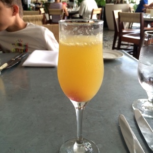 Mimosa