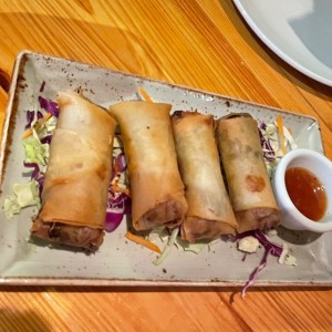 Entradas - Spring Rolls