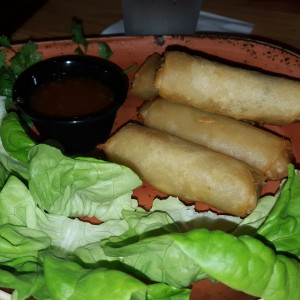 Entradas - Spring Rolls