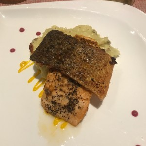 Salmon