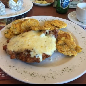 filete de pollo a la parmesana 