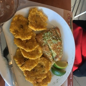 Corvina al ajillo con Patacones