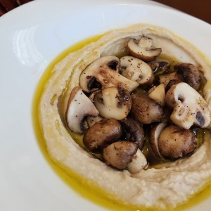 humus con hongos