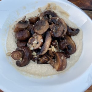 Hongos en cama de humus