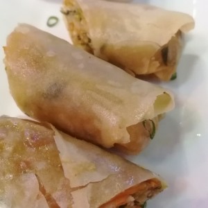 Spring Roll de Vegetales