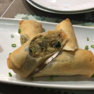 Spring roll de vegetales