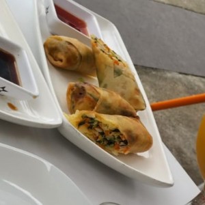 Spring Roll de Vegetales