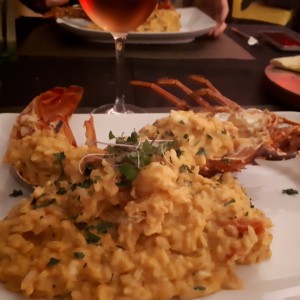 Risotto de Langosta