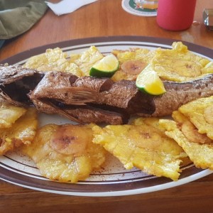 Corvina Entera Frita con Patancon