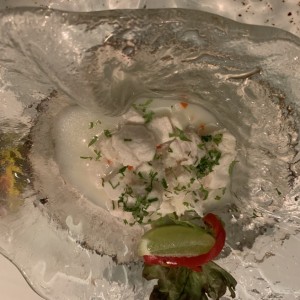 Entrada Fria - Ceviche de Corvina