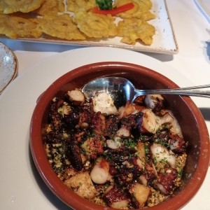 Pulpo a la Plancha, a la gallega, encebollado o al Ajillo