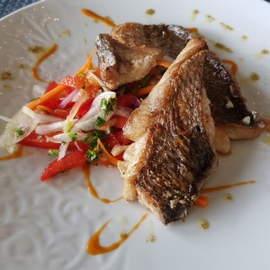 Filete de Pargo