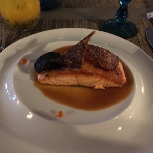 Salmon