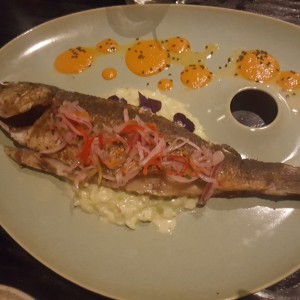 branzino