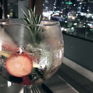 gin de frutos rojos