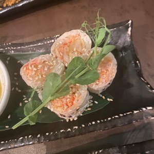 Sushi Rolls - A- Terciopelo