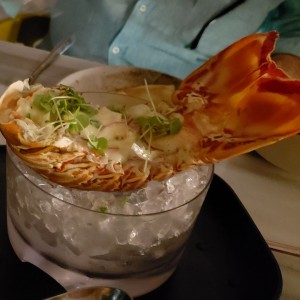 Ceviche de langosta (solo en temporada)