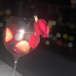 gin frutal