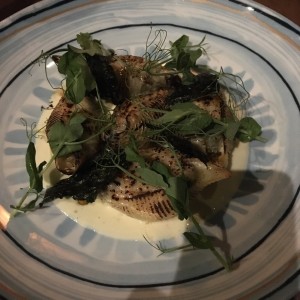 Conchiglioni de Shortrib