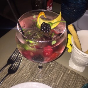 gin tonic frutal