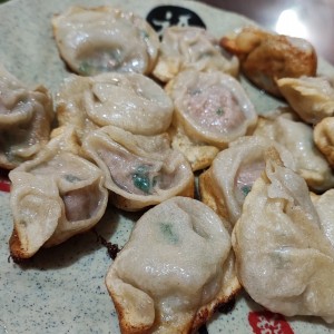 Dumplings fritos