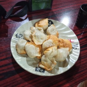 Dumpling (15 unidades) - Vegetales