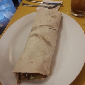 Burrito especial 