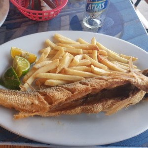 Corvina frita