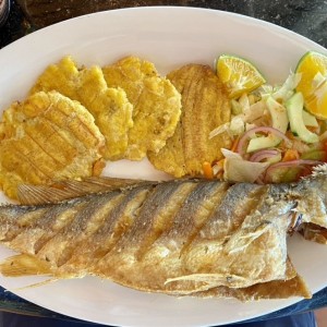 Corvina frita