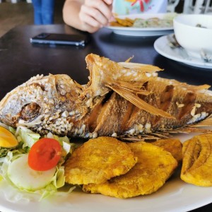 Pargo frito