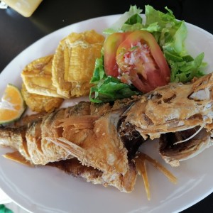 Corvina frita mediana con patacones 