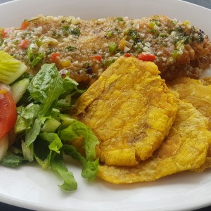 Filete de pescado alajillo