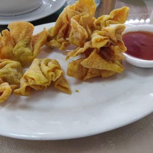 wanton frito con puerco