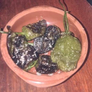 PIMIENTOS DE PADRON