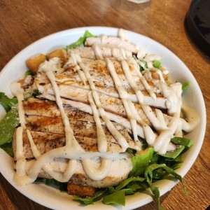 Ensalada Cesar con Pollo