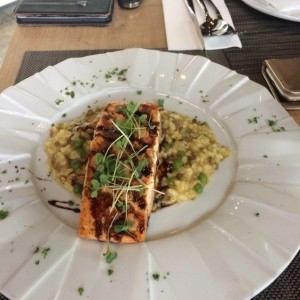 Salmon eb base de Risotto