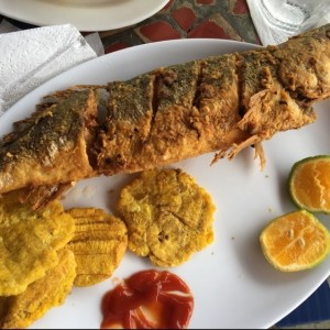 corvina frita entera