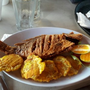 Pargo frito con patacones