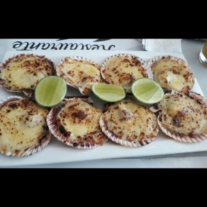 Conchitas gratinadas