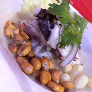 Ceviche Puntarenas 