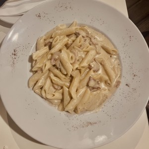 Pastas - Penne