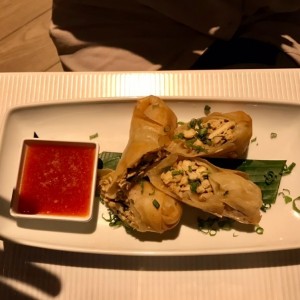 Spring Roll de Pollo