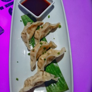 Tentadoras Entradas - Gyozas de Pollo