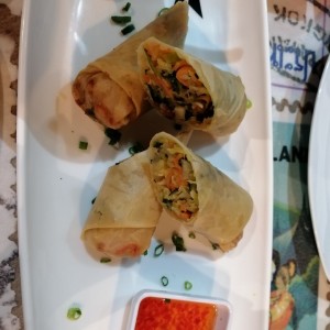 Spring Roll de Vegetales