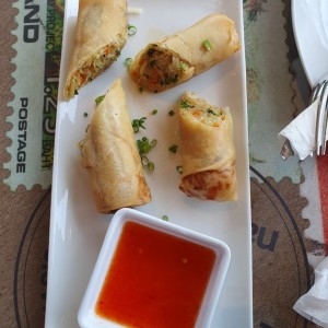 Spring Roll de Vegetales