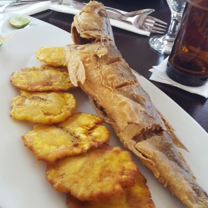 pargo frito