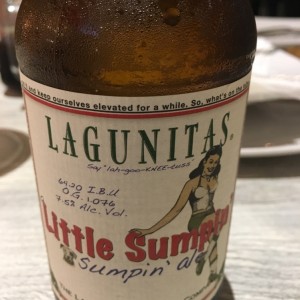 Cerveza Artesanal Americana 100% recomendada 