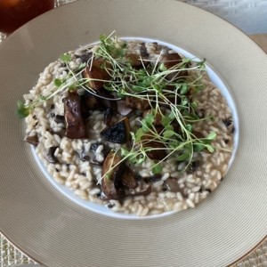 Risotto Funghi