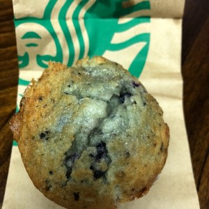 blueberry muffin