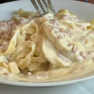 Pasta alfredo